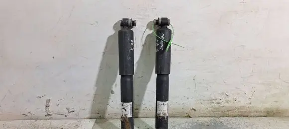 Ford Transit - Tourneo Connect Rear shock absorber/damper DV61-18080-BF