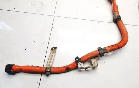 Nissan Leaf I (ZE0) Other wiring loom f026010g