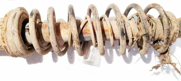 Rear coil spring