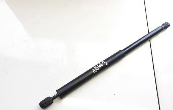 Tailgate/trunk strut/damper