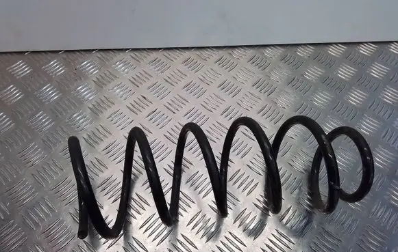 Front coil spring