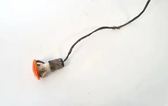 Skoda Octavia Mk1 (1U) Front fender indicator light 019806