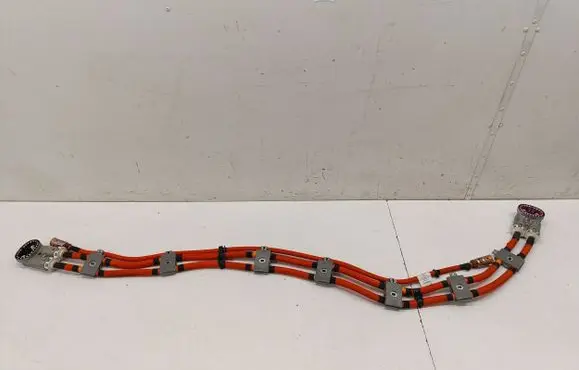 Mercedes-Benz EQE v295 Other wiring loom A2955407106