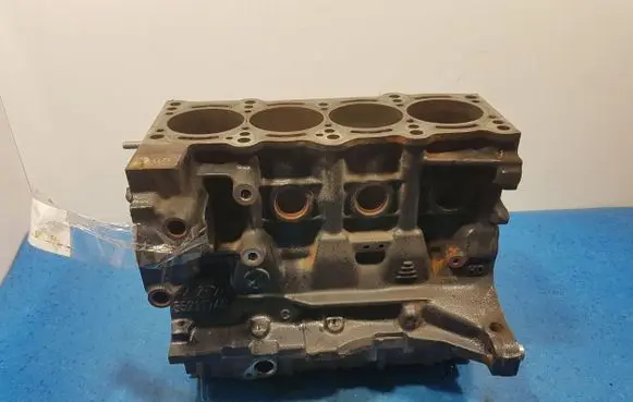 Fiat Punto (199) Engine block 955A2000