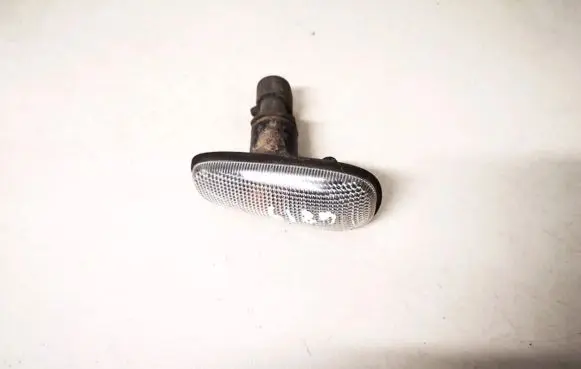 Front fender indicator light