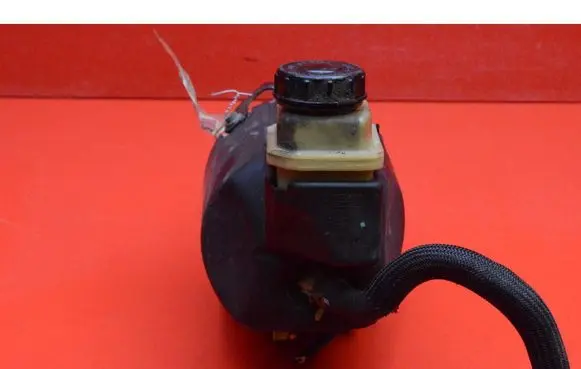 Renault Laguna III Power steering pump 491109313R
