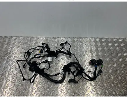 BMW X3 G01 Engine installation wiring loom 5A01D60 8482365 8482366