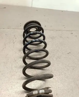 Rear coil spring