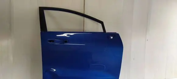 Ford Puma Front door L1TBS20220AD