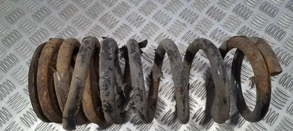 KIA Carnival Rear coil spring