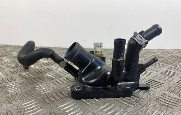 Thermostat/thermostat housing