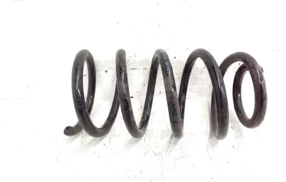 Hyundai Santa Fe Rear coil spring SP3854