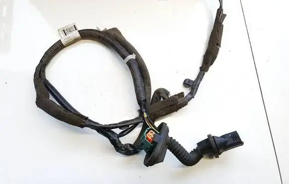 Nissan Leaf I (ZE0) Other wiring loom 241273nm0b