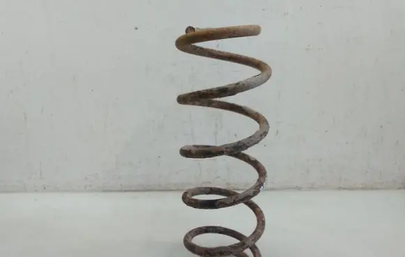 Rear coil spring