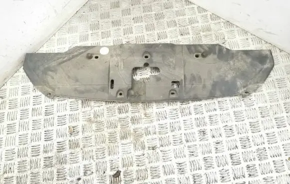 Engine bonnet/hood lock trim molding