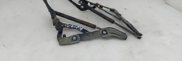 Tailgate/trunk/boot hinge