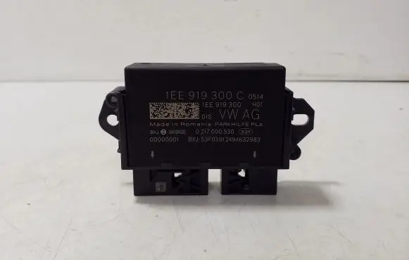 Volkswagen ID.4 Other control units/modules 1EE919300C