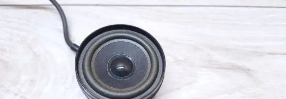 Panel speaker