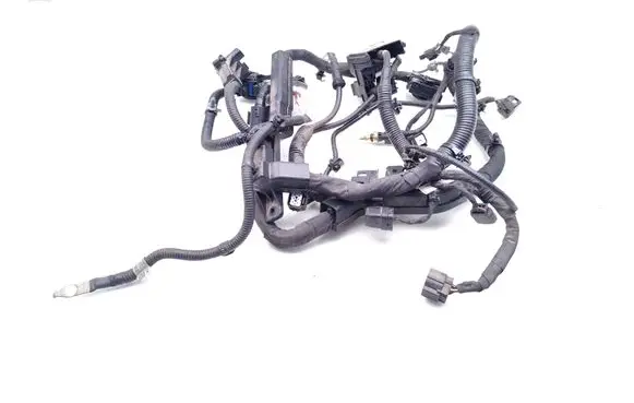 Hyundai Kona I Engine installation wiring loom 91660K4030