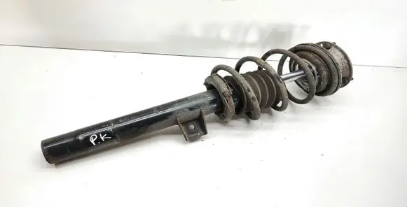 Front shock absorber with coil spring