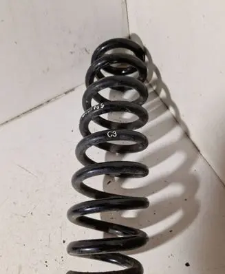 Rear coil spring