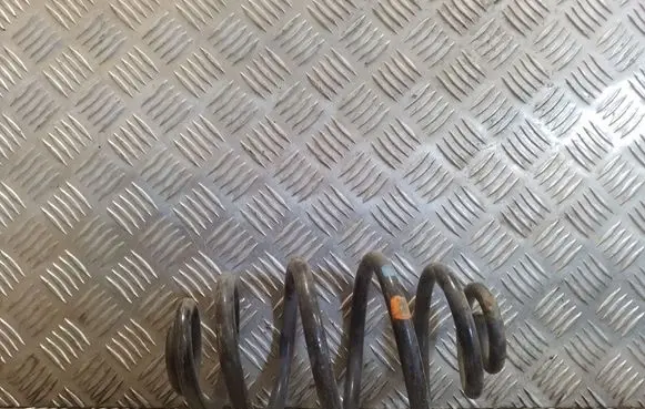 Rear coil spring