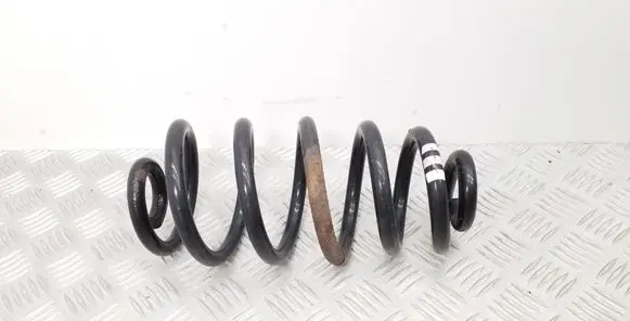 Seat Exeo (3R) Rear coil spring