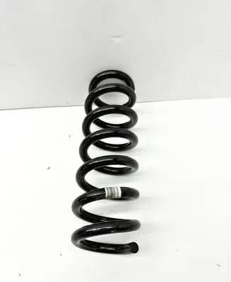 Rear coil spring
