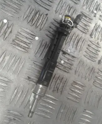 Renault Scenic IV - Grand scenic IV Fuel injector 166001525R