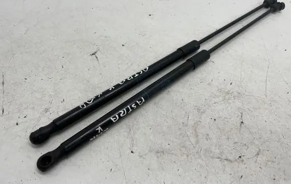 Tailgate/trunk strut/damper