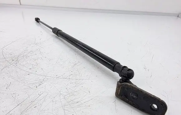 Tailgate/trunk strut/damper