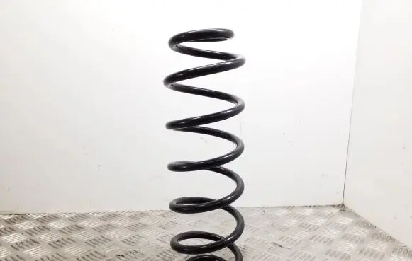 Volkswagen Golf VII Rear coil spring 70757 1000913465