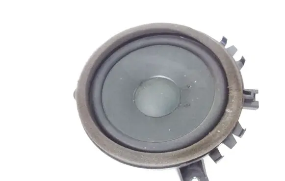 Front door speaker
