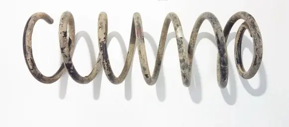 Chevrolet Kalos Rear coil spring