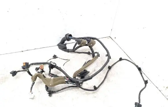 Renault Koleos I Front door wiring loom 24125JY43A