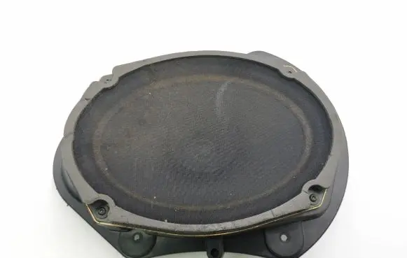 Chrysler 300 - 300C Front door speaker P05059067AC 29961P