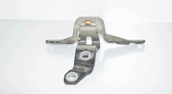BMW 5 GT F07 Tailgate/trunk/boot hinge 7200529 7233588