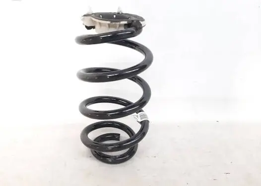 BMW 1 F40 Rear shock absorber with coil spring 