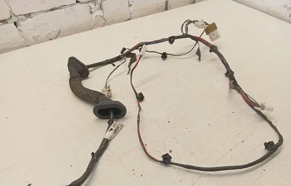 Front door wiring loom