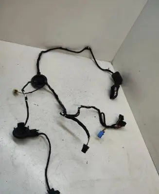 Front door wiring loom