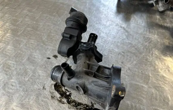Thermostat/thermostat housing