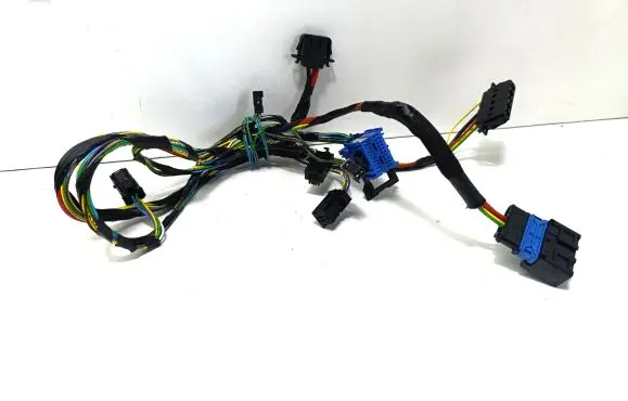 Citroen C4 Cactus Other wiring loom