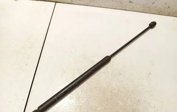 Tailgate/trunk strut/damper