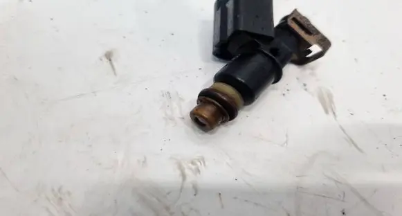Opel Zafira B Fuel injector UL19 BBS6