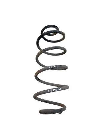 Rear coil spring