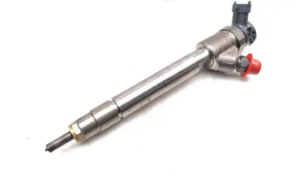 Citroen Berlingo Fuel injector 9828959880 0445110955