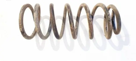 Rear coil spring