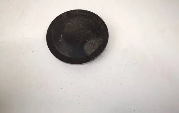 Headlight/headlamp dust cover