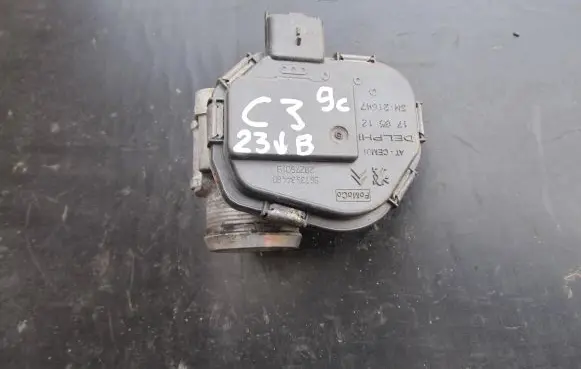 Citroen C3 Picasso Throttle valve 9673534480 28275019