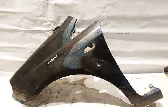 Fiat Punto (188) Fender Juoda